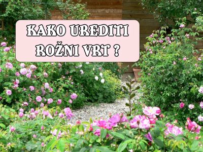 KAO UREDITI ROŽNI VRT