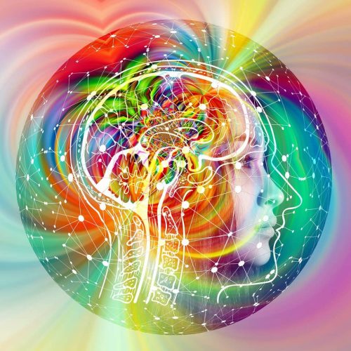 brain-4490836_1920